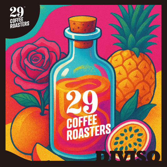 淺焙 哥倫比亞 迪維索 熱衝擊日曬