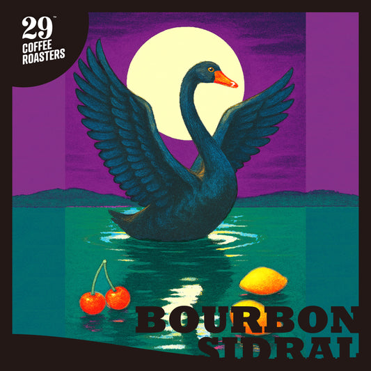 淺焙 哥倫比亞 黑天鵝莊園