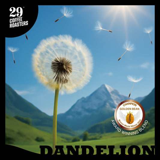 中淺焙 蒲公英 DANDELION 精品配方豆