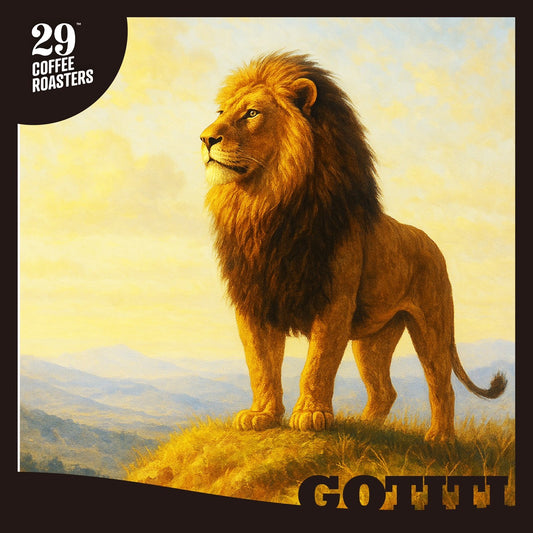 淺焙 獅王 耶加雪菲 果丁丁 G1